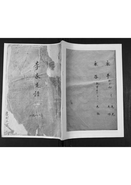 山东李氏-李氏支谱.pdf电子版缩略图