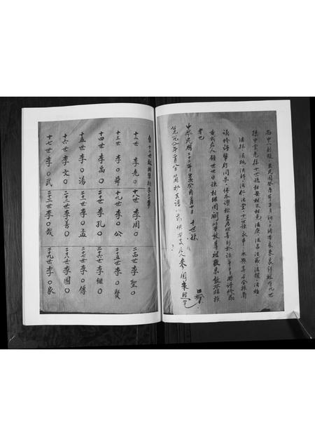 山东李氏-李氏支谱.pdf电子版预览图2