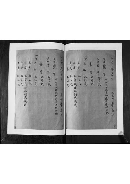 山东李氏-李氏支谱.pdf电子版预览图3