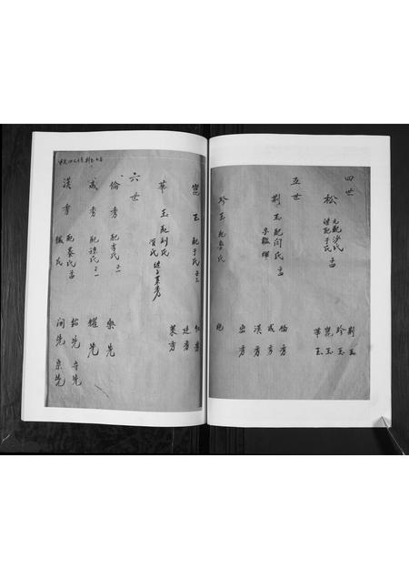 山东李氏-李氏支谱.pdf电子版预览图5