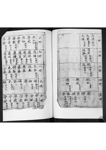 山东李氏-李氏支谱.pdf电子版预览图3