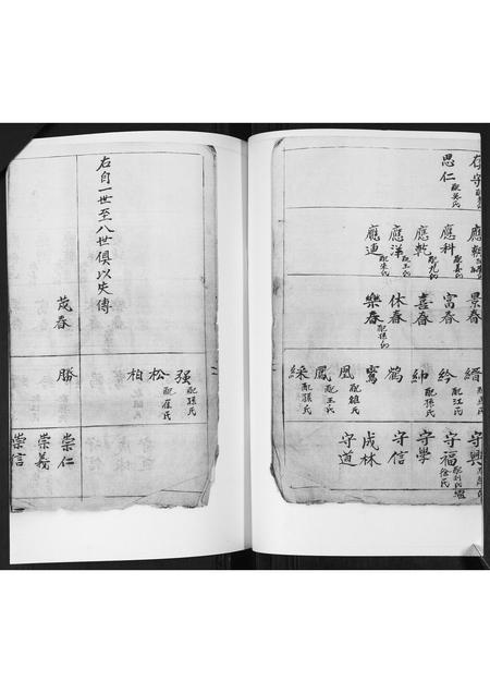 山东李氏-李氏支谱.pdf电子版预览图4