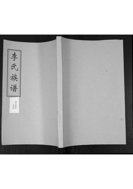 山东李氏-李氏支谱.pdf电子版缩略图
