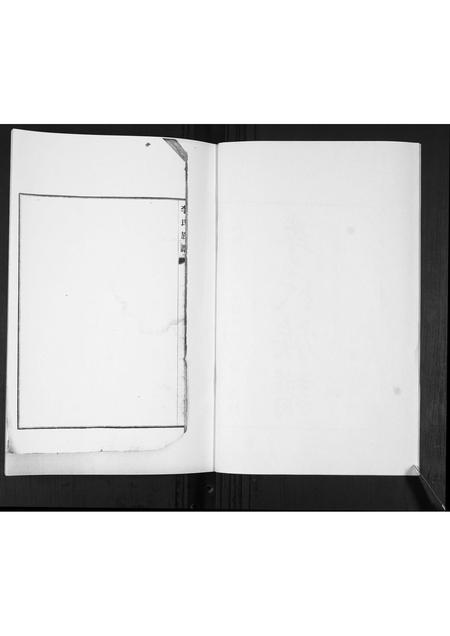 山东李氏-李氏支谱.pdf电子版预览图2