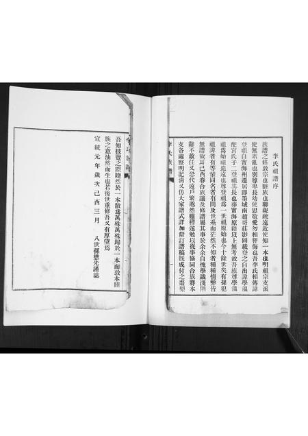 山东李氏-李氏支谱.pdf电子版预览图3