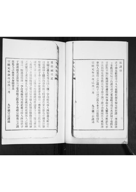 山东李氏-李氏支谱.pdf电子版预览图5