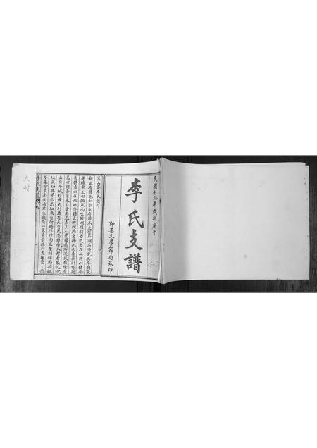 山东李氏-李氏支谱.pdf电子版缩略图