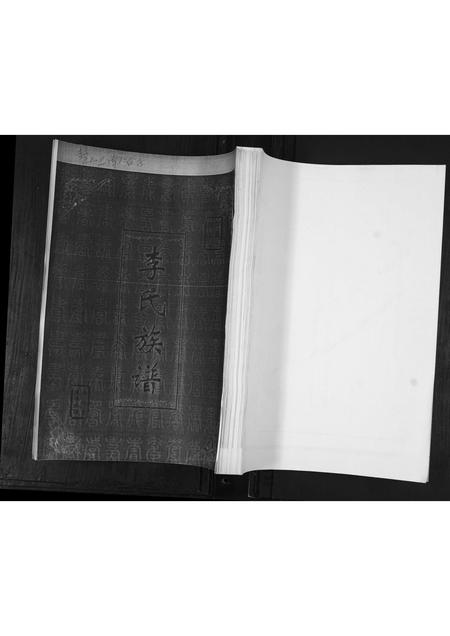 山东李氏-李氏族谱.pdf电子版缩略图