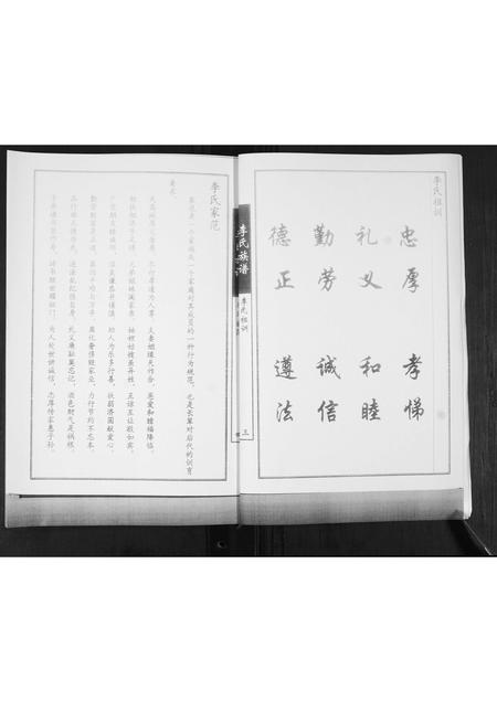 山东李氏-李氏族谱.pdf电子版预览图4