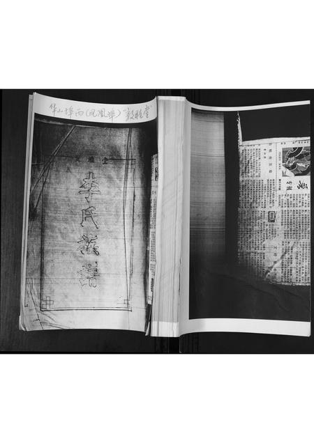 山东李氏-李氏族谱.pdf电子版缩略图