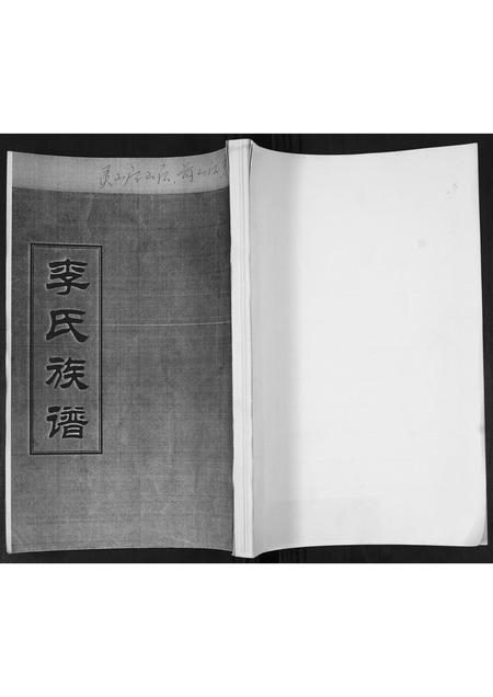 山东李氏-李氏族谱.pdf电子版缩略图