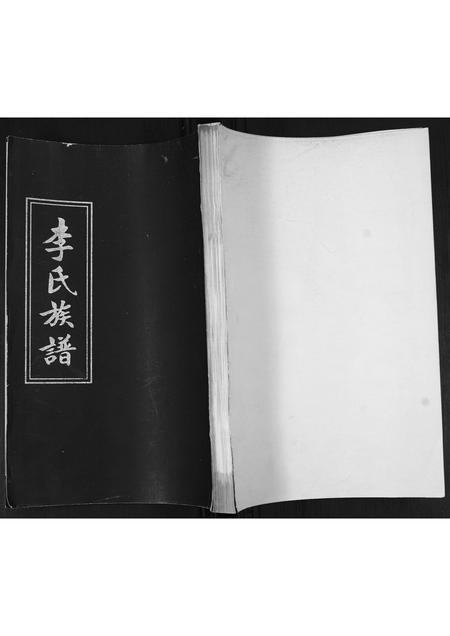 山东李氏-李氏族谱.pdf电子版缩略图
