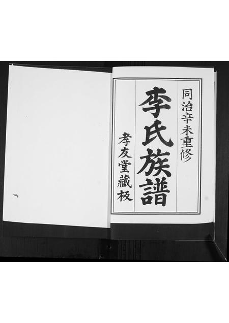 山东李氏-李氏族谱.pdf电子版预览图3