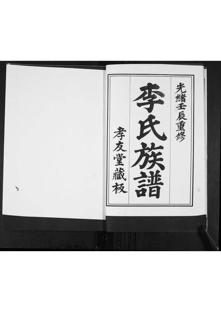 山东李氏-李氏族谱.pdf电子版预览图4