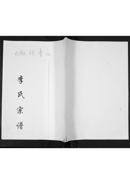 山东李氏-李氏族谱.pdf电子版缩略图