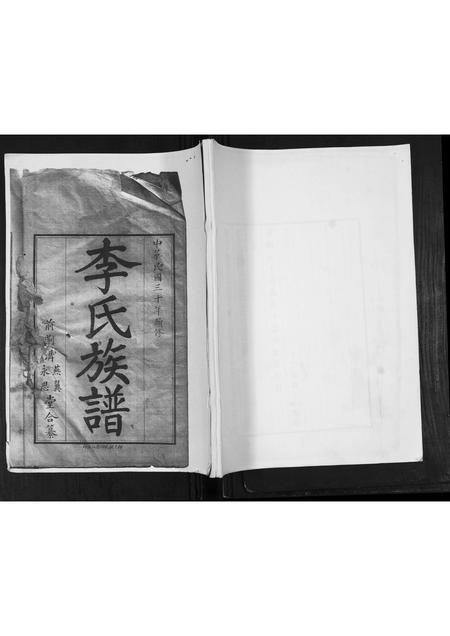 山东李氏-李氏族谱.pdf电子版缩略图