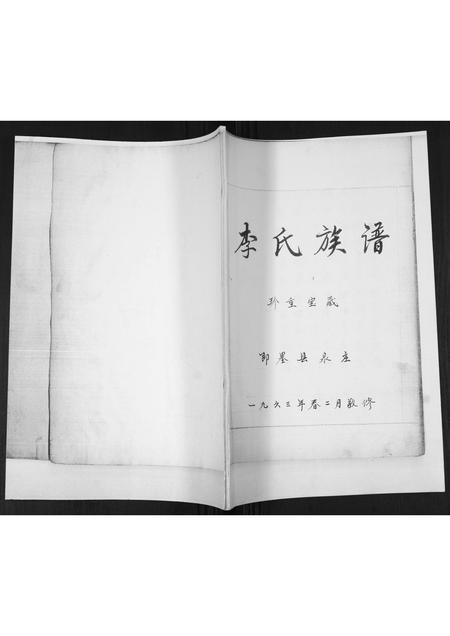 山东李氏-李氏族谱.pdf电子版缩略图
