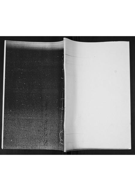 山东李氏-李氏族谱.pdf电子版缩略图