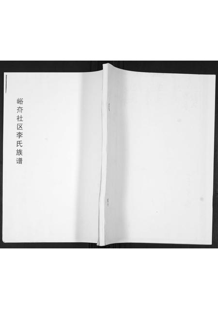 山东李氏-李氏族谱.pdf电子版缩略图