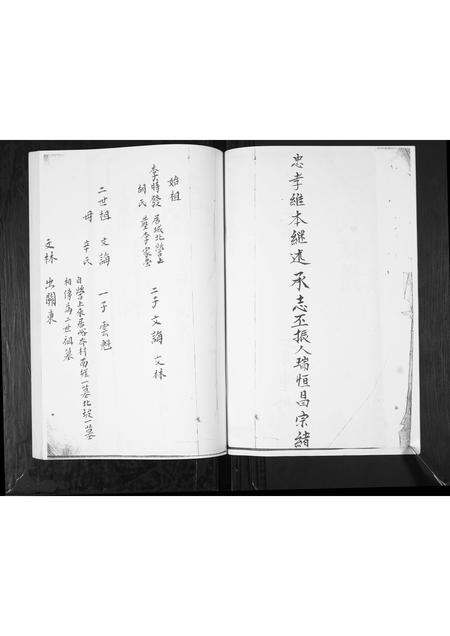 山东李氏-李氏族谱.pdf电子版预览图4