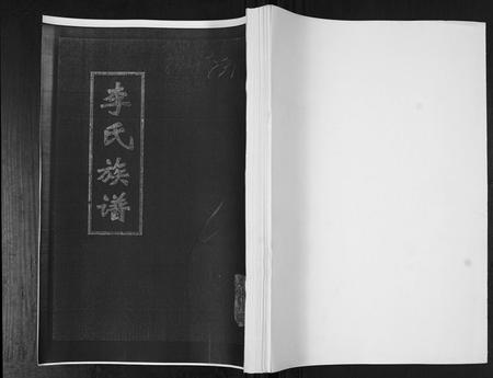 山东李氏-李氏族谱.pdf电子版缩略图