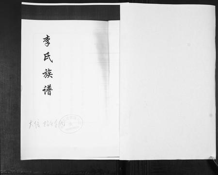 山东李氏-李氏族谱.pdf电子版预览图1
