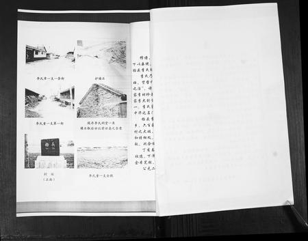 山东李氏-李氏族谱.pdf电子版预览图4