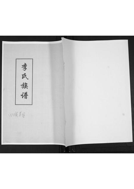 山东李氏-李氏族谱.pdf电子版缩略图