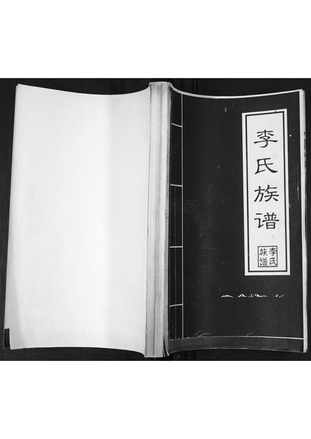 山东李氏-李氏族谱.pdf电子版缩略图