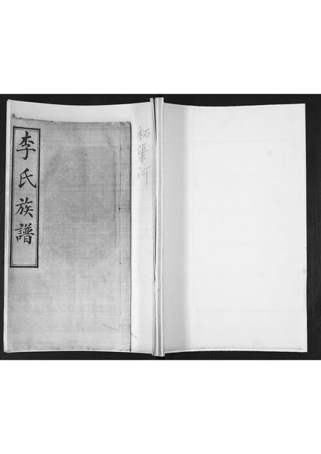 山东李氏-李氏族谱.pdf电子版缩略图