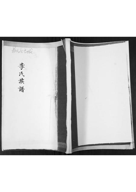 山东李氏-李氏族谱.pdf电子版缩略图