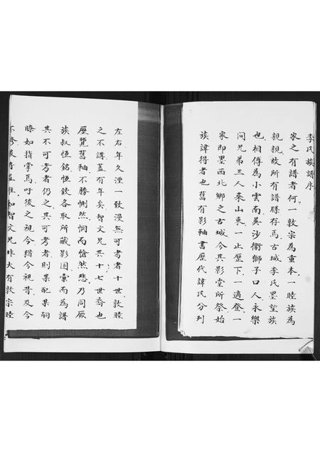 山东李氏-李氏族谱.pdf电子版预览图1