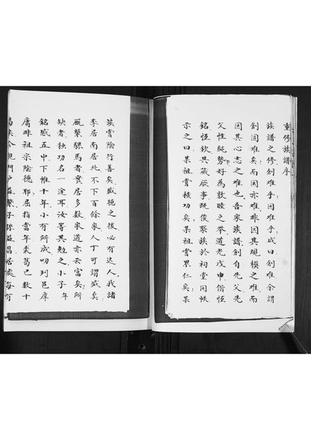 山东李氏-李氏族谱.pdf电子版预览图3