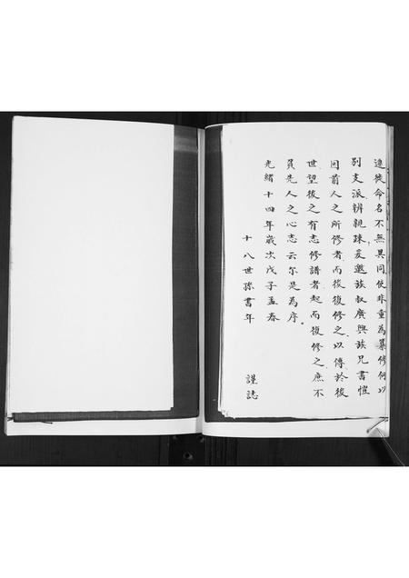 山东李氏-李氏族谱.pdf电子版预览图4