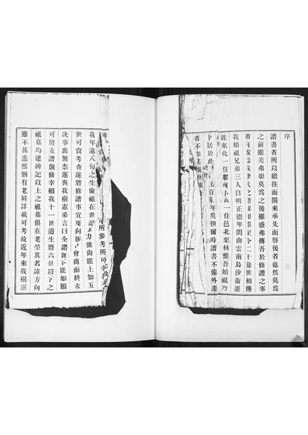 山东李氏-李氏族谱.pdf电子版预览图3