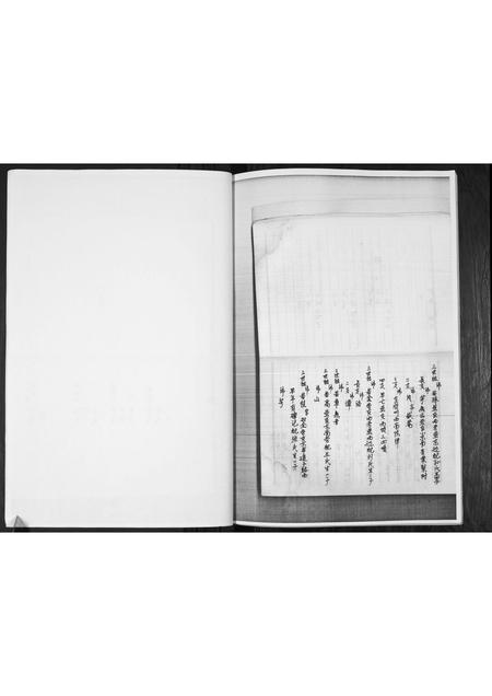 山东李氏-李氏族谱.pdf电子版预览图4