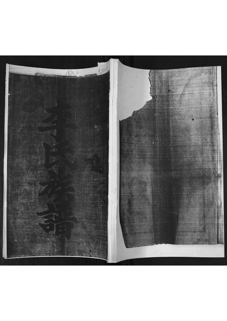 山东李氏-李氏族谱.pdf电子版缩略图