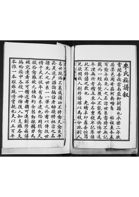 山东李氏-李氏族谱.pdf电子版预览图2