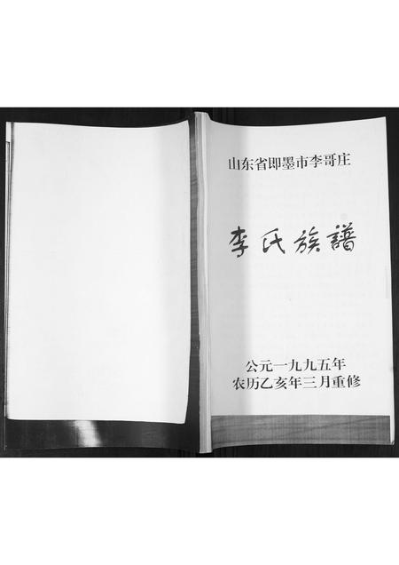 山东李氏-李氏族谱.pdf电子版缩略图