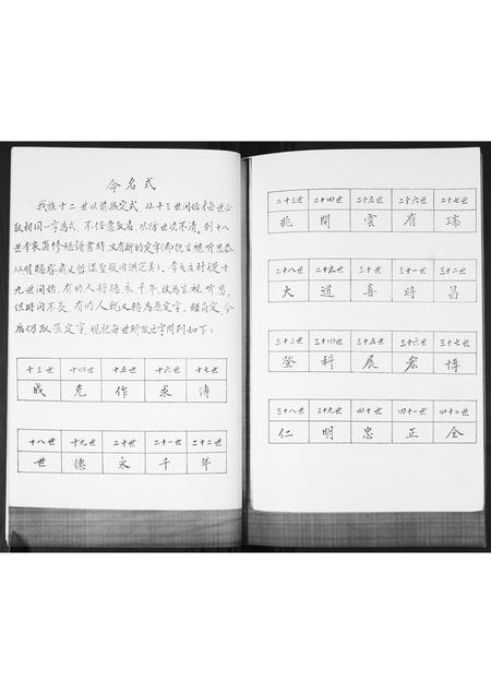 山东李氏-李氏族谱.pdf电子版预览图3