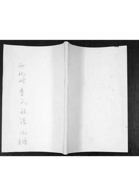 山东李氏-李氏族谱.pdf电子版缩略图