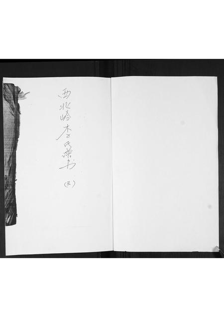 山东李氏-李氏族谱.pdf电子版预览图1