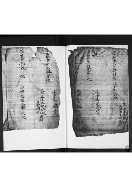 山东李氏-李氏族谱.pdf电子版预览图2