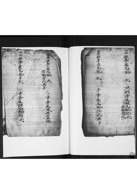 山东李氏-李氏族谱.pdf电子版预览图3