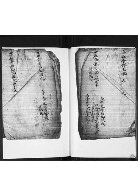 山东李氏-李氏族谱.pdf电子版预览图4