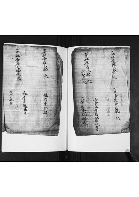 山东李氏-李氏族谱.pdf电子版预览图5