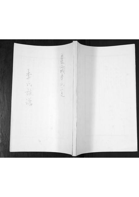 山东李氏-李氏族谱.pdf电子版缩略图