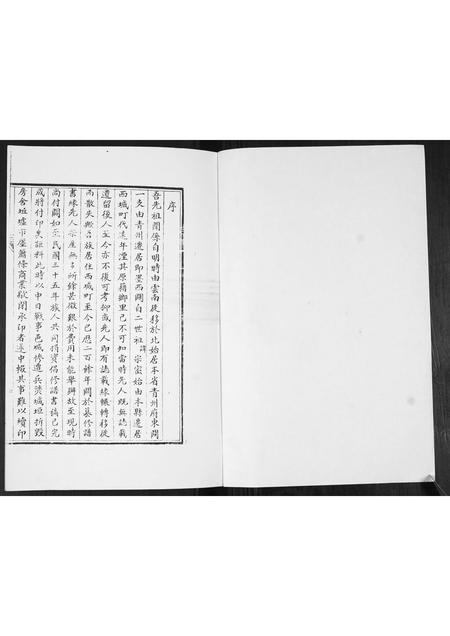 山东李氏-李氏族谱.pdf电子版预览图1