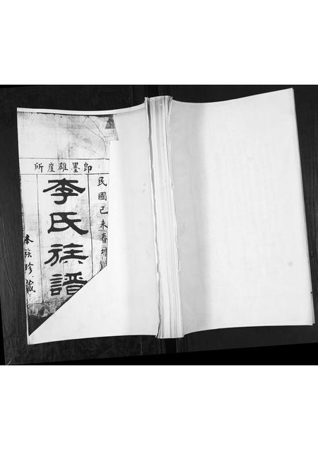 山东李氏-李氏族谱.pdf电子版缩略图