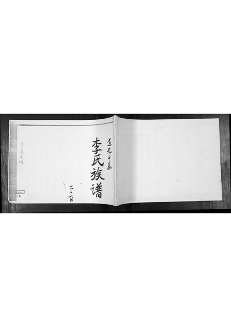 山东李氏-李氏族谱.pdf电子版缩略图